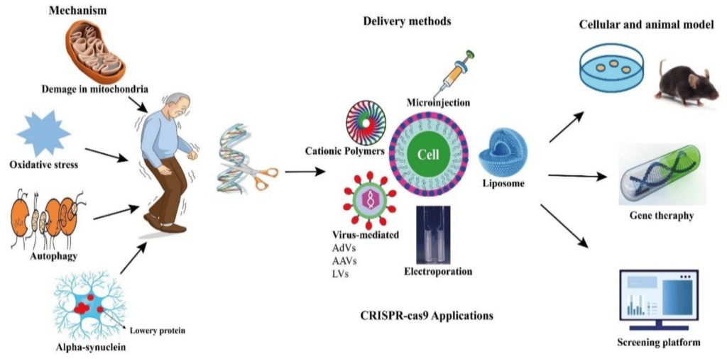 Crispr-Cas9 and Gene Editing: Unveiling Potential and Navigating Ethical Implications